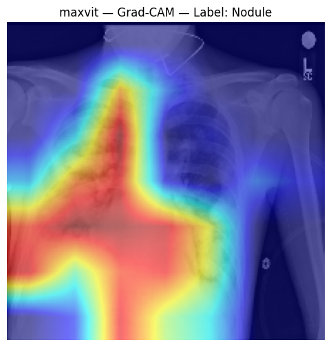 MaxViT Grad-CAM